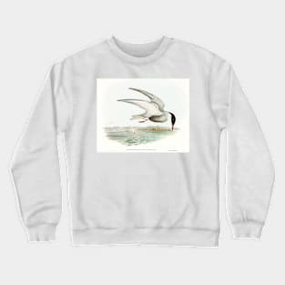 Marsh Tern (Hydrochelidon fluviatilis) Crewneck Sweatshirt